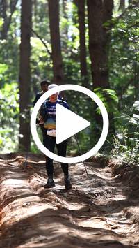 BIB:  <button type="button" onclick="openModal(26569417)" class="btn btn-primary btn-sm float-right" data-toggle="modal" data-target=".modal-high-quality">
                <i class="fa fa-download"></i> Download
                </button>